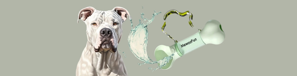 CATS-DOGS-WATER-DESPENDER-BOWLS