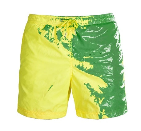 Beach Shorts Summer Men Swimming Trucks