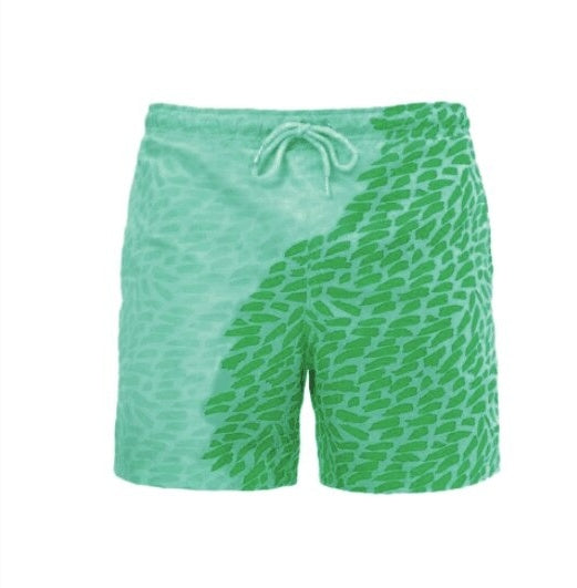 Beach Shorts Summer Men Swimming Trucks
