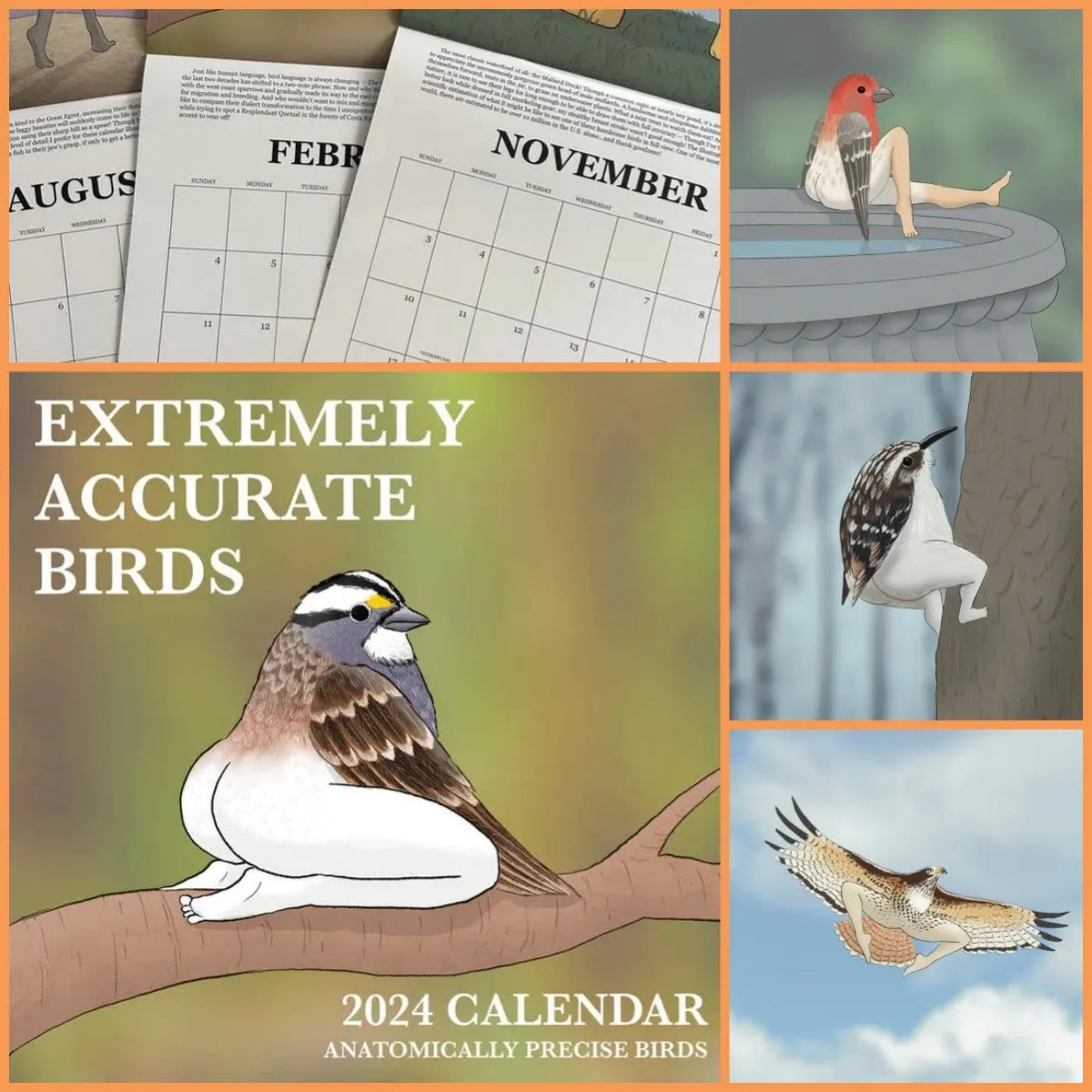 2024 Extremely Accurate Birds Calendar Decorative Wall - Bellarte Enchanté 2024 Extremely Accurate Birds Calendar Decorative Wall