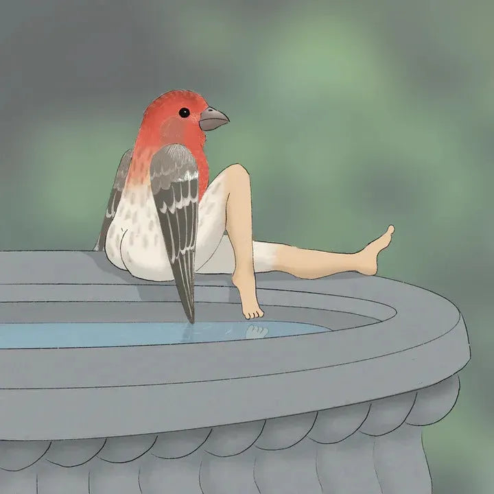 2024 Extremely Accurate Birds Calendar Decorative Wall - Bellarte Enchanté 2024 Extremely Accurate Birds Calendar Decorative Wall