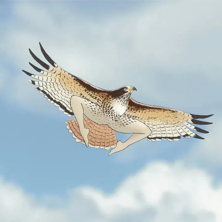 2024 Extremely Accurate Birds Calendar Decorative Wall - Bellarte Enchanté 2024 Extremely Accurate Birds Calendar Decorative Wall