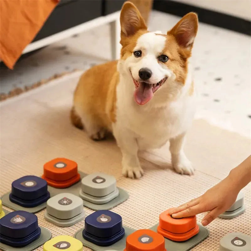 4 Colors Pet Communication Button One-click Prevent Physical Inactivity Recordable Dog Talking Button Toy Cat Toy Pet Products - Bellarte Enchanté 4 Colors Pet Communication Button One-click Prevent Physical Inactivity Recordable Dog Talking Button Toy Cat Toy Pet Products