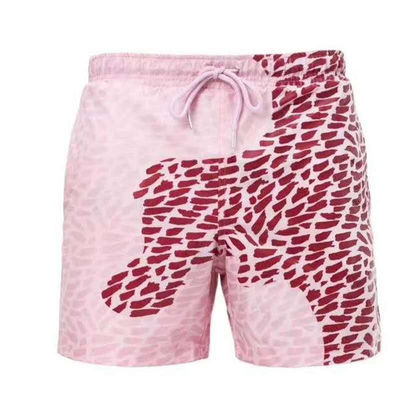 Beach Shorts Summer Men Swimming Trucks