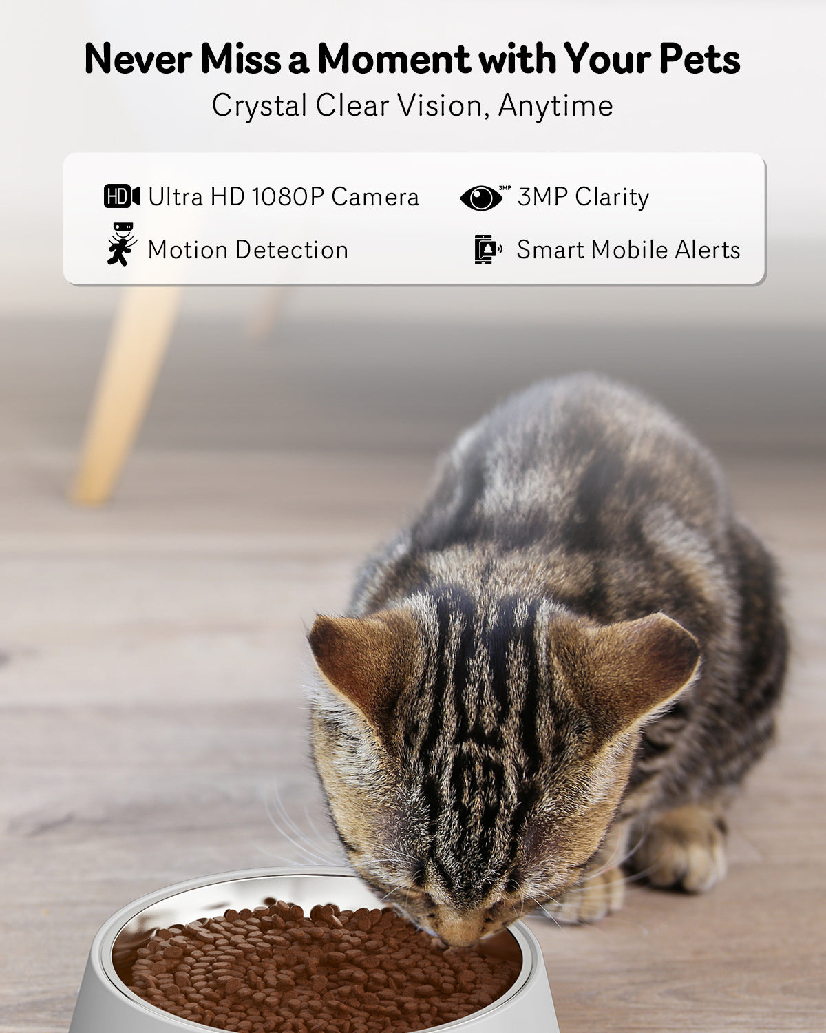Automatic Cat Feeder With Camera, 1080P HD Video, Night Vision, 5G WiFi, 2-Way Audio, 10s Voice Recorder, Low Food & Blockage - Bellarte Enchanté Automatic Cat Feeder With Camera, 1080P HD Video, Night Vision, 5G WiFi, 2-Way Audio, 10s Voice Recorder, Low Food & Blockage
