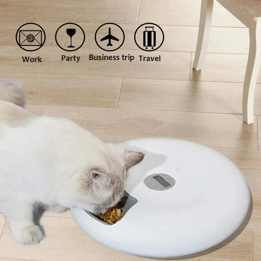 Automatic Feeder Pet Cats And Dogs Snacks - Bellarte Enchanté Automatic Feeder Pet Cats And Dogs Snacks