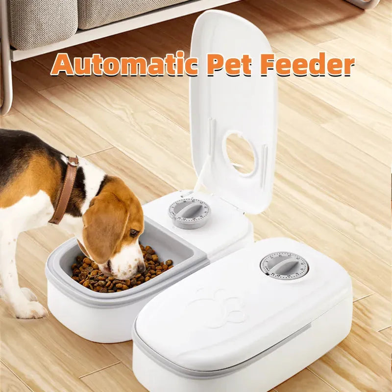 Automatic Pet Feeder Smart Food Dispenser For Cats Dogs Timer Stainless Steel Bowl Auto Dog Cat Pet Feeding Pets Supplies - Bellarte Enchanté Automatic Pet Feeder Smart Food Dispenser For Cats Dogs Timer Stainless Steel Bowl Auto Dog Cat Pet Feeding Pets Supplies