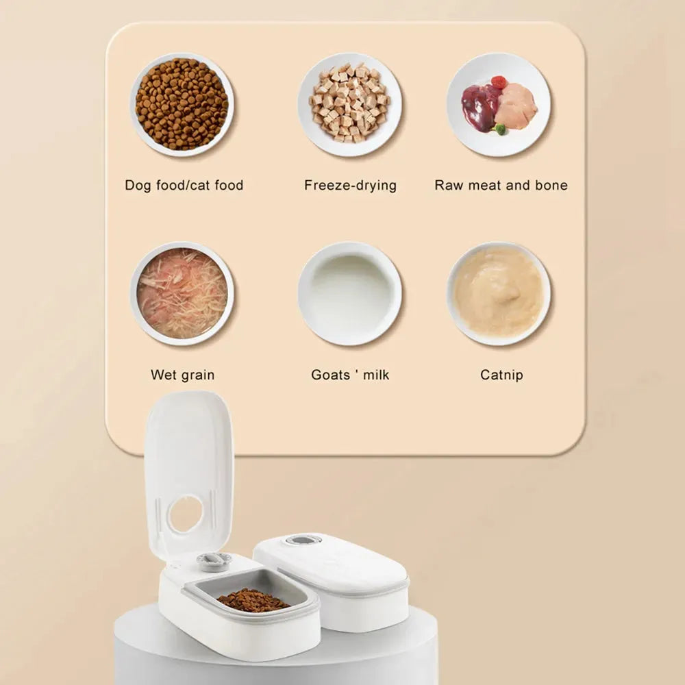 Automatic Pet Feeder Smart Food Dispenser For Cats Dogs Timer Stainless Steel Bowl Auto Dog Cat Pet Feeding Pets Supplies - Bellarte Enchanté Automatic Pet Feeder Smart Food Dispenser For Cats Dogs Timer Stainless Steel Bowl Auto Dog Cat Pet Feeding Pets Supplies