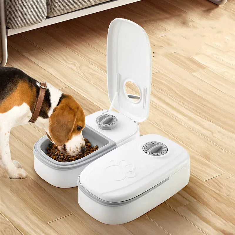 Automatic Pet Feeder Smart Food Dispenser For Cats Dogs Timer Stainless Steel Bowl Auto Dog Cat Pet Feeding Pets Supplies - Bellarte Enchanté Automatic Pet Feeder Smart Food Dispenser For Cats Dogs Timer Stainless Steel Bowl Auto Dog Cat Pet Feeding Pets Supplies