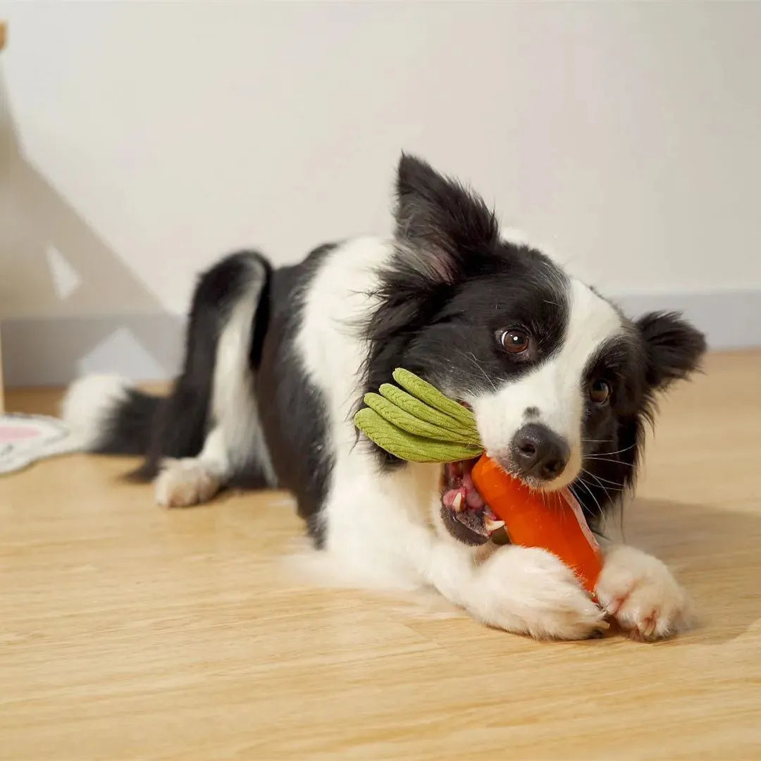 Carrot Pet Bite-resistant Vocal Rubber Toy - Bellarte Enchanté Carrot Pet Bite-resistant Vocal Rubber Toy