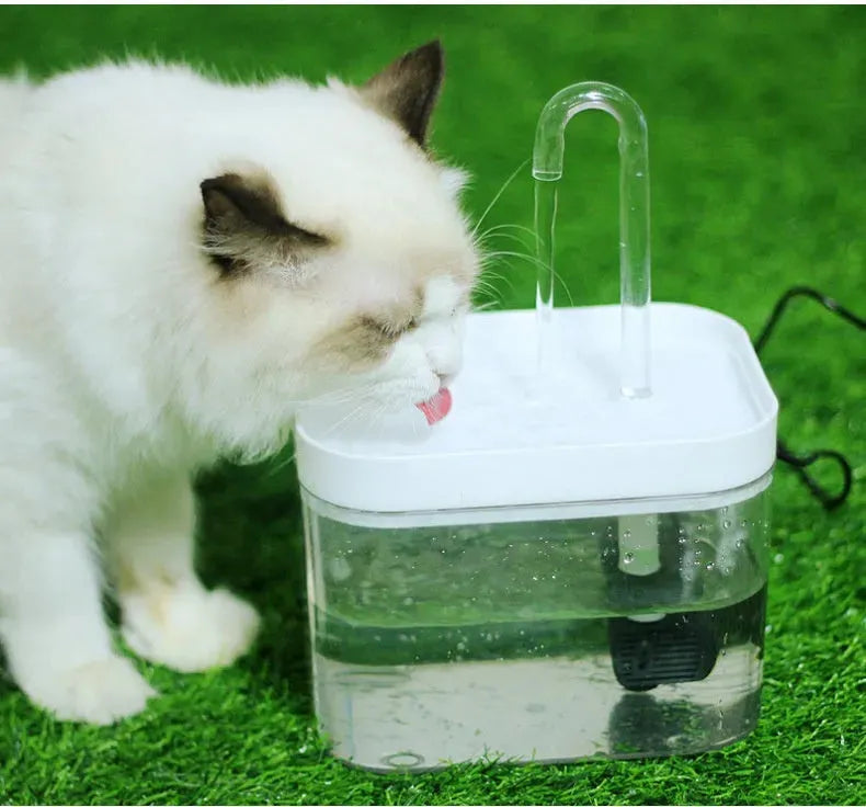 Cat Automatic Circulation Flow Mute Water Fountain Mouth Wet-proof Drinking Water Apparatus - Bellarte Enchanté Cat Automatic Circulation Flow Mute Water Fountain Mouth Wet-proof Drinking Water Apparatus