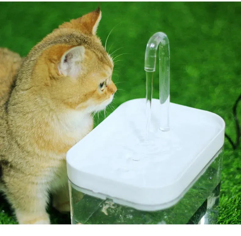 Cat Automatic Circulation Flow Mute Water Fountain Mouth Wet-proof Drinking Water Apparatus - Bellarte Enchanté Cat Automatic Circulation Flow Mute Water Fountain Mouth Wet-proof Drinking Water Apparatus