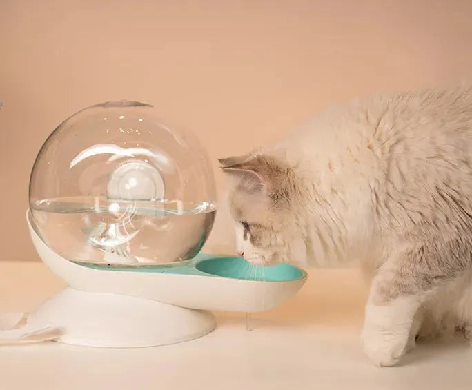 Cat drinking fountain filtering automatic drinking fountain - Bellarte Enchanté Cat drinking fountain filtering automatic drinking fountain