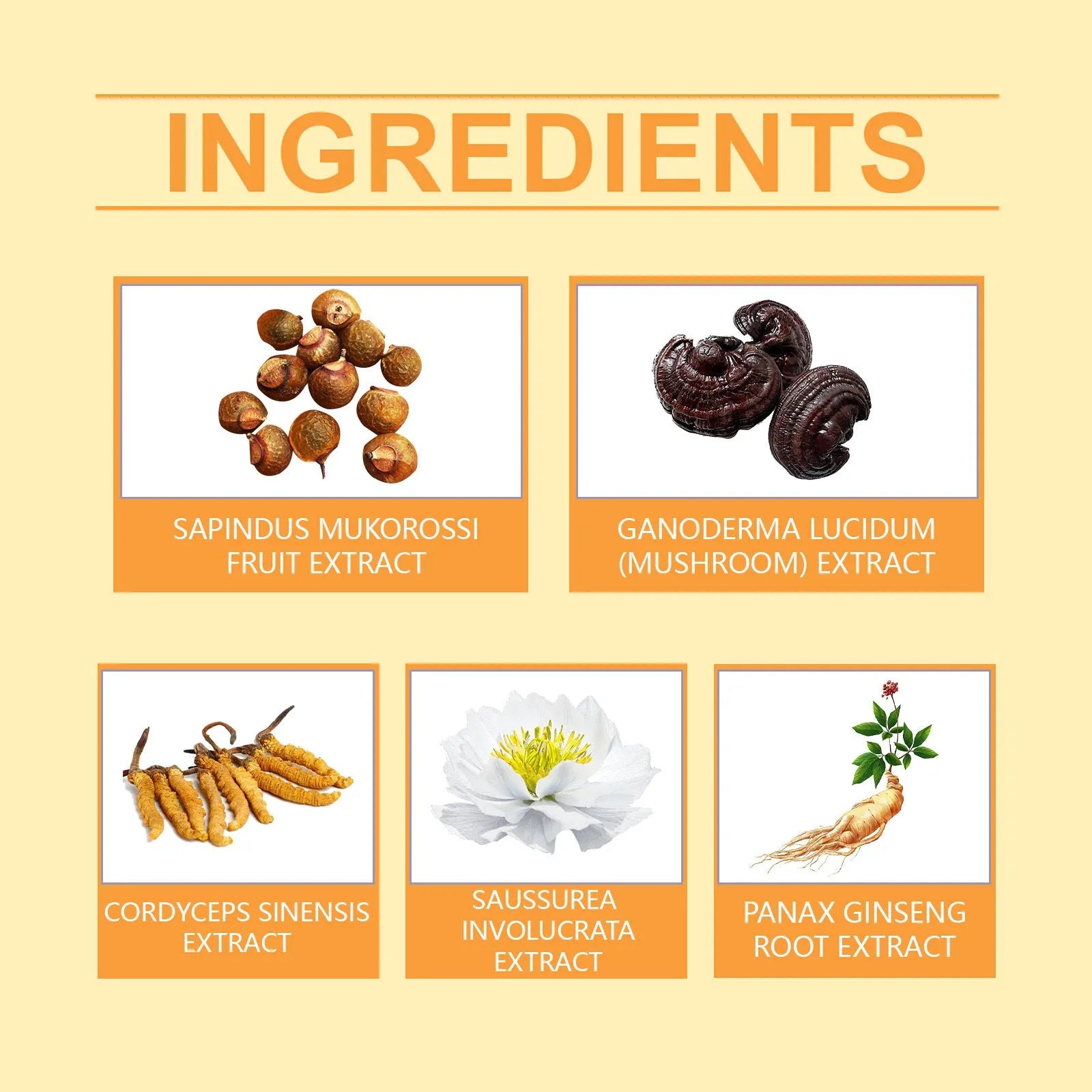 Cowhide Moss Care Soap Skin - Bellarte Enchanté Cowhide Moss Care Soap Skin