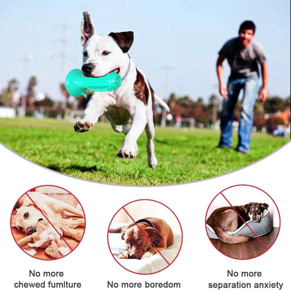Different Functions Interactive Balls For Dogs Squeaky Dog Balls Toys And Puppy Teething Chew Toy Balls For Small Dogs Dog Balls For Clean Teeth And Training 4Pcs - Bellarte Enchanté Different Functions Interactive Balls For Dogs Squeaky Dog Balls Toys And Puppy Teething Chew Toy Balls For Small Dogs Dog Balls For Clean Teeth And Training 4Pcs