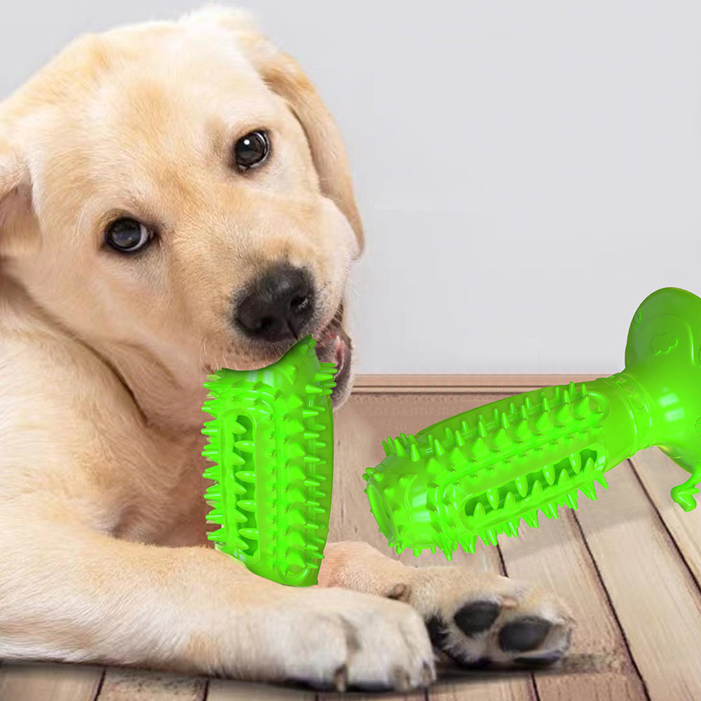 Different Functions Interactive Balls For Dogs Squeaky Dog Balls Toys And Puppy Teething Chew Toy Balls For Small Dogs Dog Balls For Clean Teeth And Training 4Pcs - Bellarte Enchanté Different Functions Interactive Balls For Dogs Squeaky Dog Balls Toys And Puppy Teething Chew Toy Balls For Small Dogs Dog Balls For Clean Teeth And Training 4Pcs