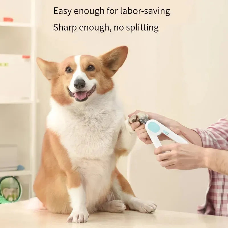 Dog And Cat Nail Clippers, Pet Nail Trimmers With LED Light, And Circular Cut-hole Cat Paw Cutter Dogs Nail Cutter Avoid Excessive Cutting - Bellarte Enchanté Dog And Cat Nail Clippers, Pet Nail Trimmers With LED Light, And Circular Cut-hole Cat Paw Cutter Dogs Nail Cutter Avoid Excessive Cutting