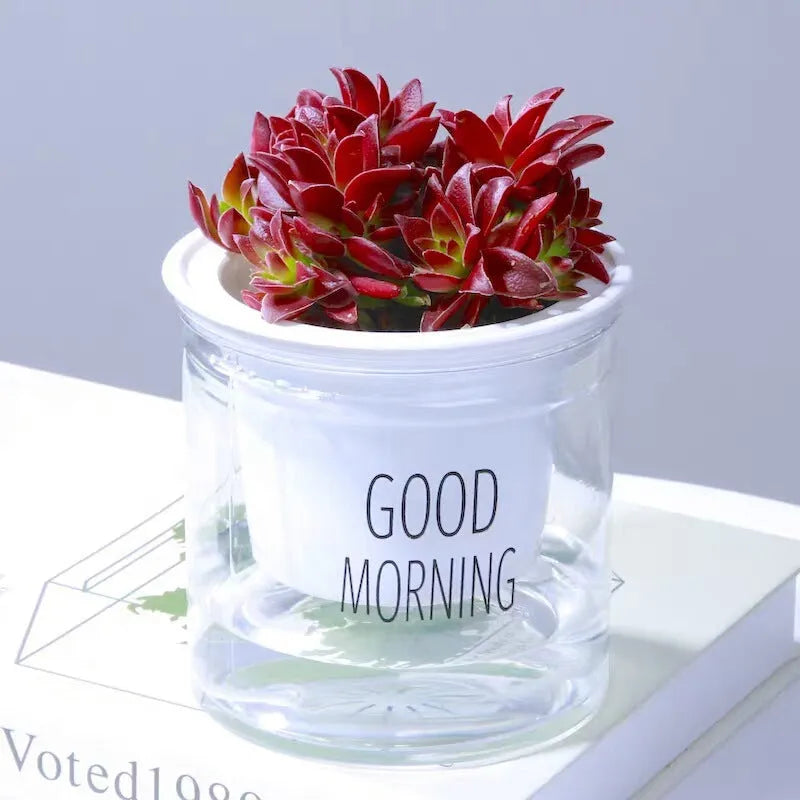 Double Tier Hydroponic Epipremnum Aureum Self-watering Flowerpot Home Decor Double Tier Visual Water Level Flowerpot - Bellarte Enchanté Double Tier Hydroponic Epipremnum Aureum Self-watering Flowerpot Home Decor Double Tier Visual Water Level Flowerpot