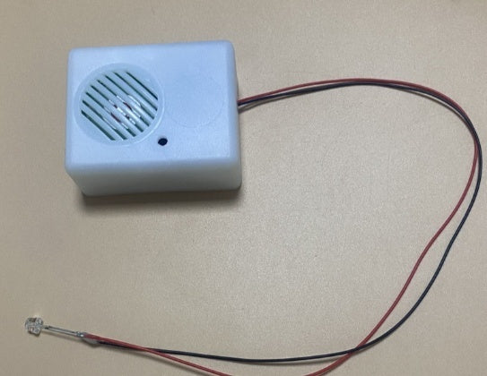 Halloween Ghost Name Sound Emitting Box - Bellarte Enchanté Halloween Ghost Name Sound Emitting Box