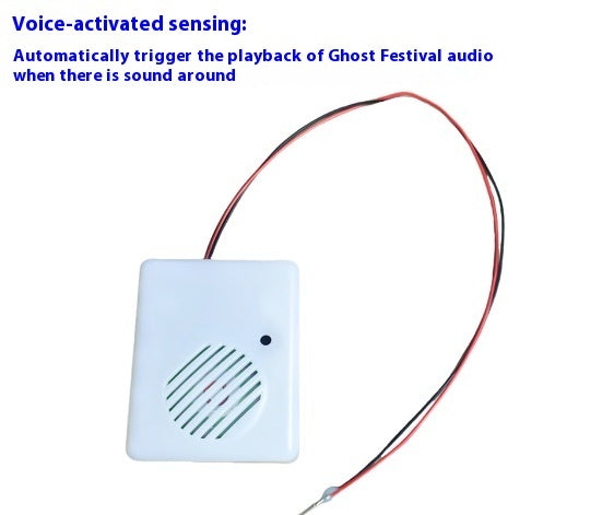 Halloween Ghost Name Sound Emitting Box - Bellarte Enchanté Halloween Ghost Name Sound Emitting Box