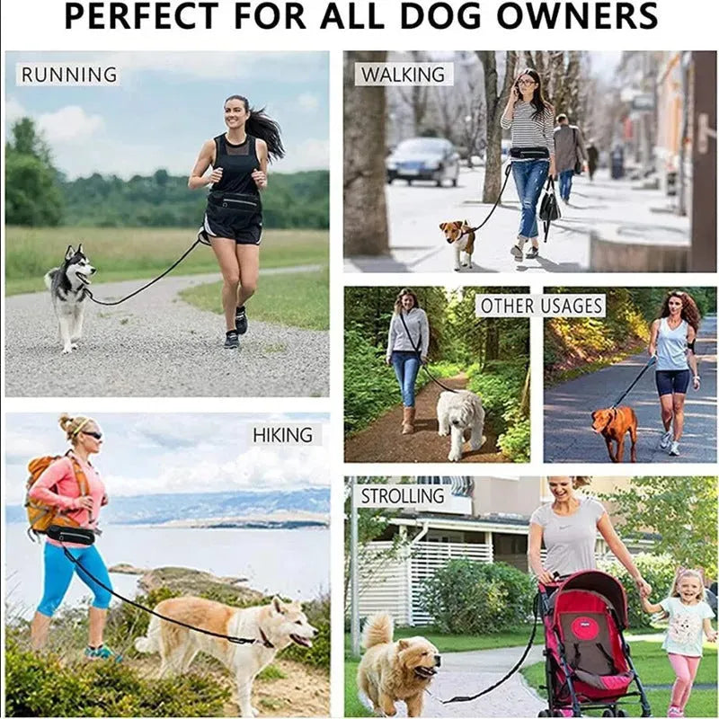 Hands Free Dog Leash Pet Walking And Training Belt With Shock Absorbing Bungee Leash For Up To 180lbs Large Dogs Phone Pocket And Water Bottle Holder - Bellarte Enchanté Hands Free Dog Leash Pet Walking And Training Belt With Shock Absorbing Bungee Leash For Up To 180lbs Large Dogs Phone Pocket And Water Bottle Holder