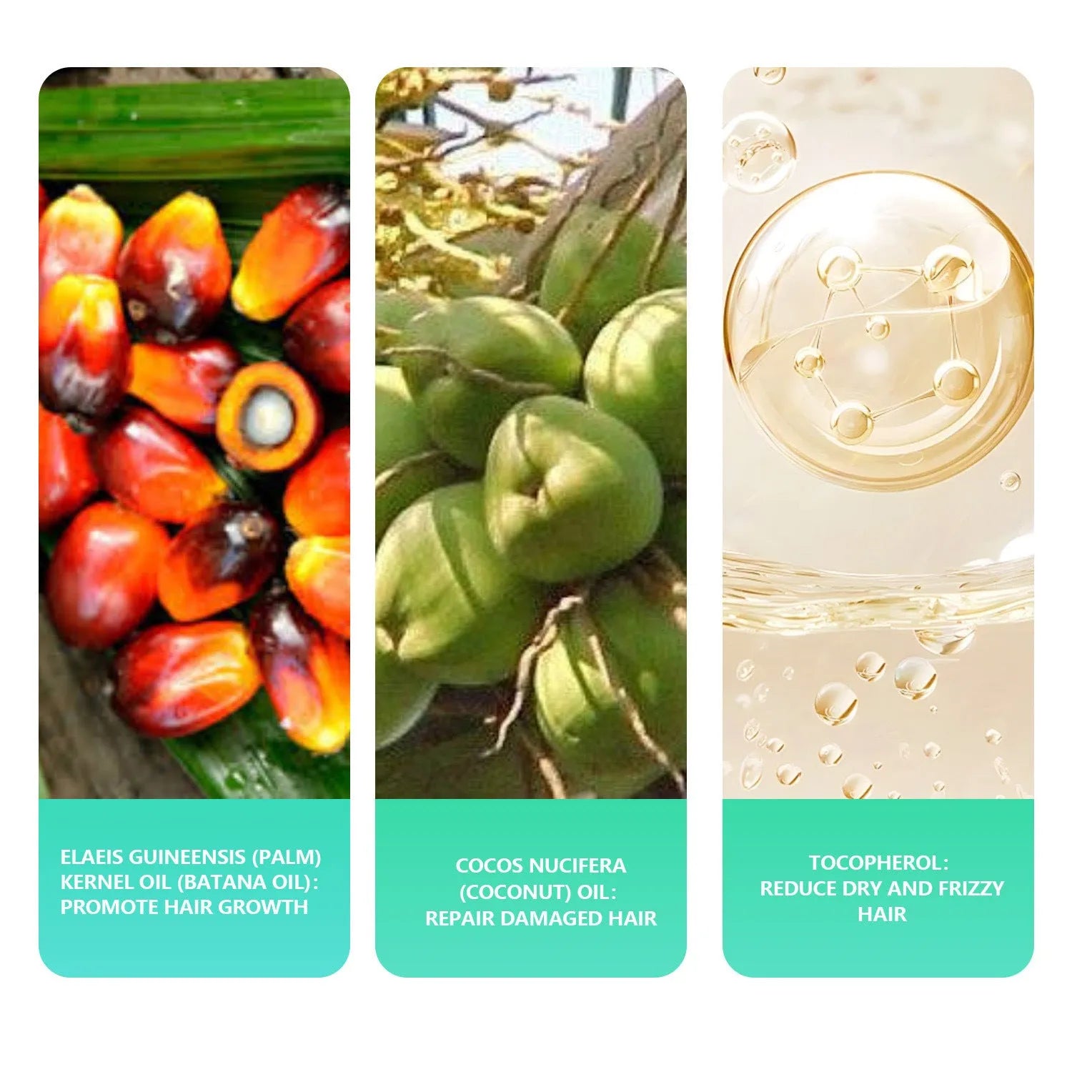 Herbal Fragrance Handmade Shampoo Soap - Bellarte Enchanté Herbal Fragrance Handmade Shampoo Soap
