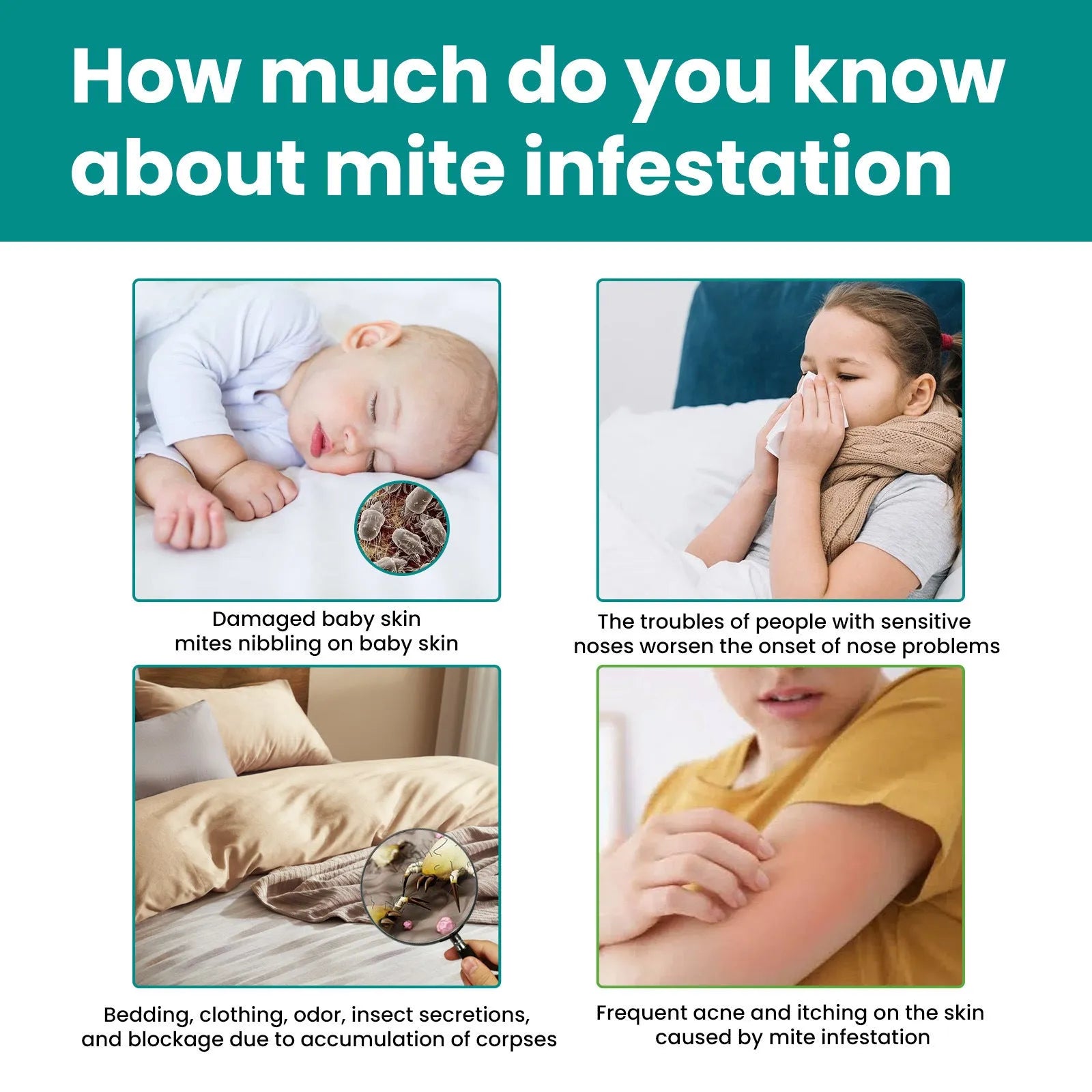 Herbal Mite Removal Bag Travel Home Supplies - Bellarte Enchanté Herbal Mite Removal Bag Travel Home Supplies