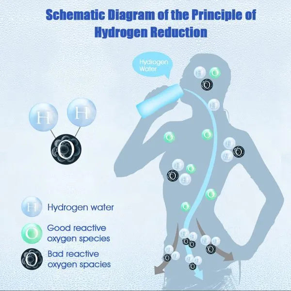 Hydrogen Oxygen Separation Rich Water Cup - Bellarte Enchanté Hydrogen Oxygen Separation Rich Water Cup