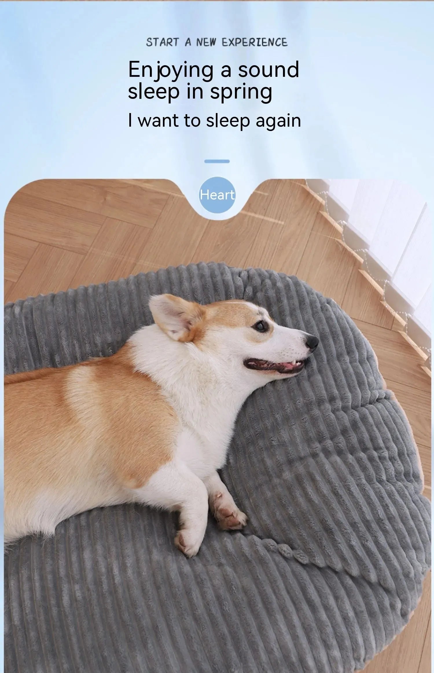 Kennel Four Seasons Universal Floor Mat Dog Mattress - Bellarte Enchanté Kennel Four Seasons Universal Floor Mat Dog Mattress