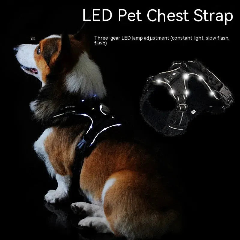 LED Explosion Proof Dog Breast Strap - Bellarte Enchanté LED Explosion Proof Dog Breast Strap