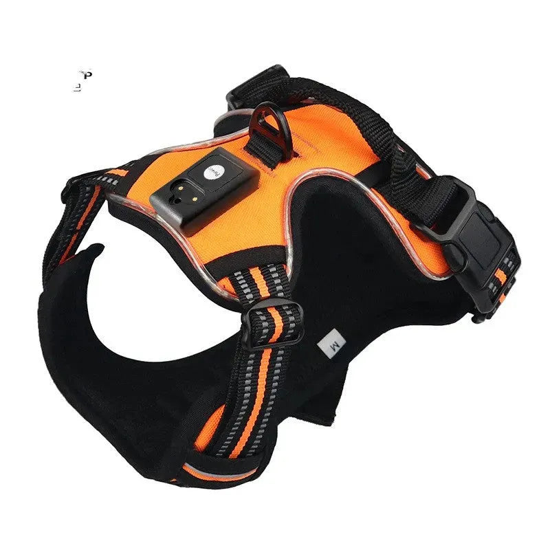 LED Explosion Proof Dog Breast Strap - Bellarte Enchanté LED Explosion Proof Dog Breast Strap