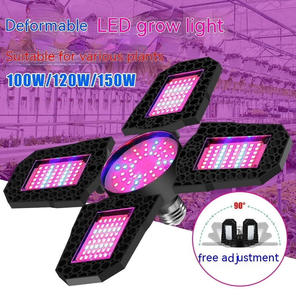 LED Plant Growth Lamp Four-head Foldable - Bellarte Enchanté LED Plant Growth Lamp Four-head Foldable