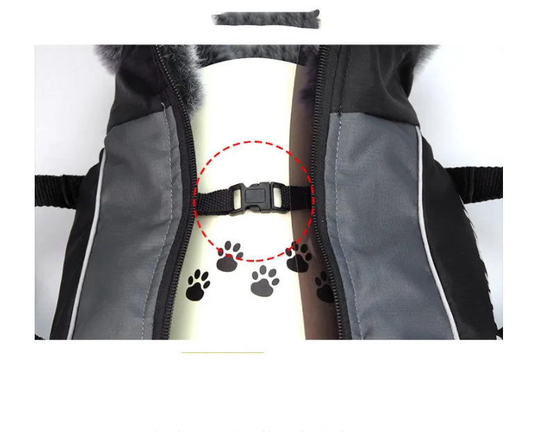 Medium-Sized Dog Autumn and Winter Clothing Labrador Biped - Bellarte Enchanté Medium-Sized Dog Autumn and Winter Clothing Labrador Biped