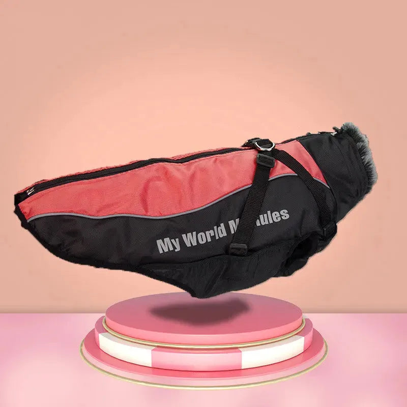 Medium-Sized Dog Autumn and Winter Clothing Labrador Biped - Bellarte Enchanté Medium-Sized Dog Autumn and Winter Clothing Labrador Biped