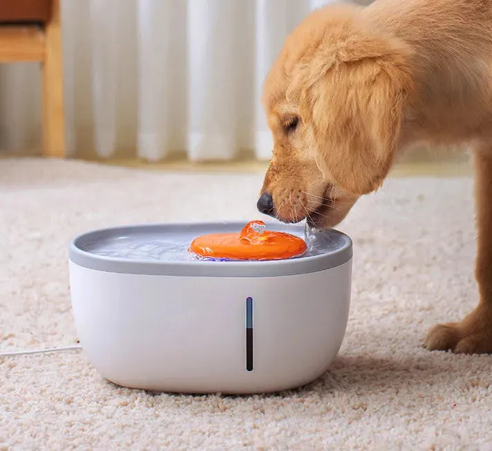 New Pet Water Dispenser LED Visual Automatic Drinking Bowl - Bellarte Enchanté New Pet Water Dispenser LED Visual Automatic Drinking Bowl