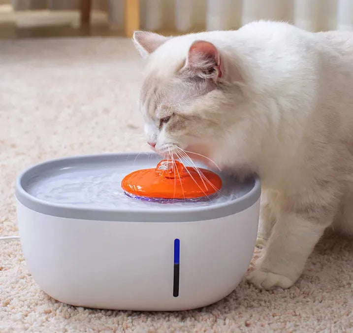 New Pet Water Dispenser LED Visual Automatic Drinking Bowl - Bellarte Enchanté New Pet Water Dispenser LED Visual Automatic Drinking Bowl