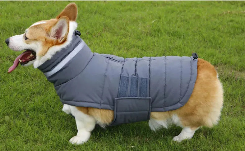 Pet Coat Dog Cold And Warm Vest - Bellarte Enchanté Pet Coat Dog Cold And Warm Vest