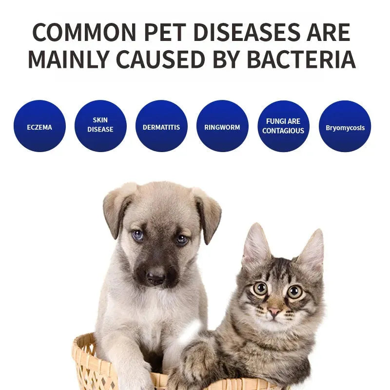 Pet Comb Comb Cat Dog Deodorant Kill Bacteria Comb UV Cat Moss Detection Light Pet Supplies - Bellarte Enchanté Pet Comb Comb Cat Dog Deodorant Kill Bacteria Comb UV Cat Moss Detection Light Pet Supplies