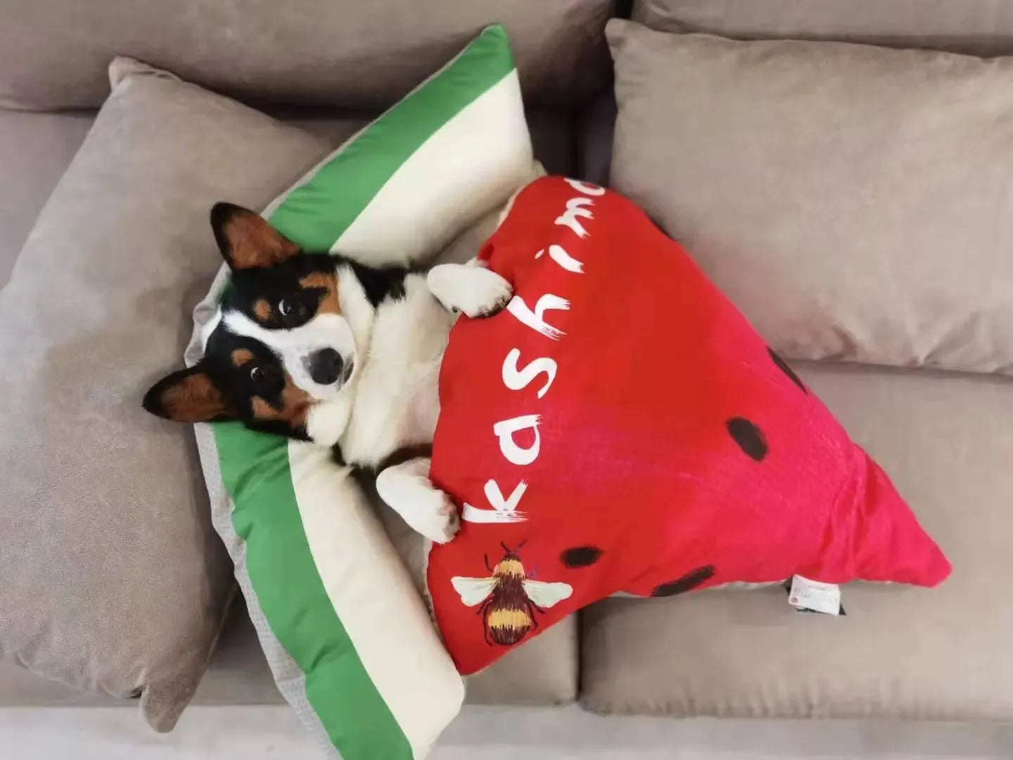 Pet Cute Pizza Nest Cat Dog Four Seasons - Bellarte Enchanté Pet Cute Pizza Nest Cat Dog Four Seasons