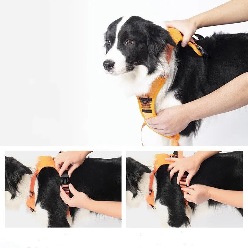 Pet Dog Hand Holding Rope Chest Strap Integrated Automatic Retractable - Bellarte Enchanté Pet Dog Hand Holding Rope Chest Strap Integrated Automatic Retractable