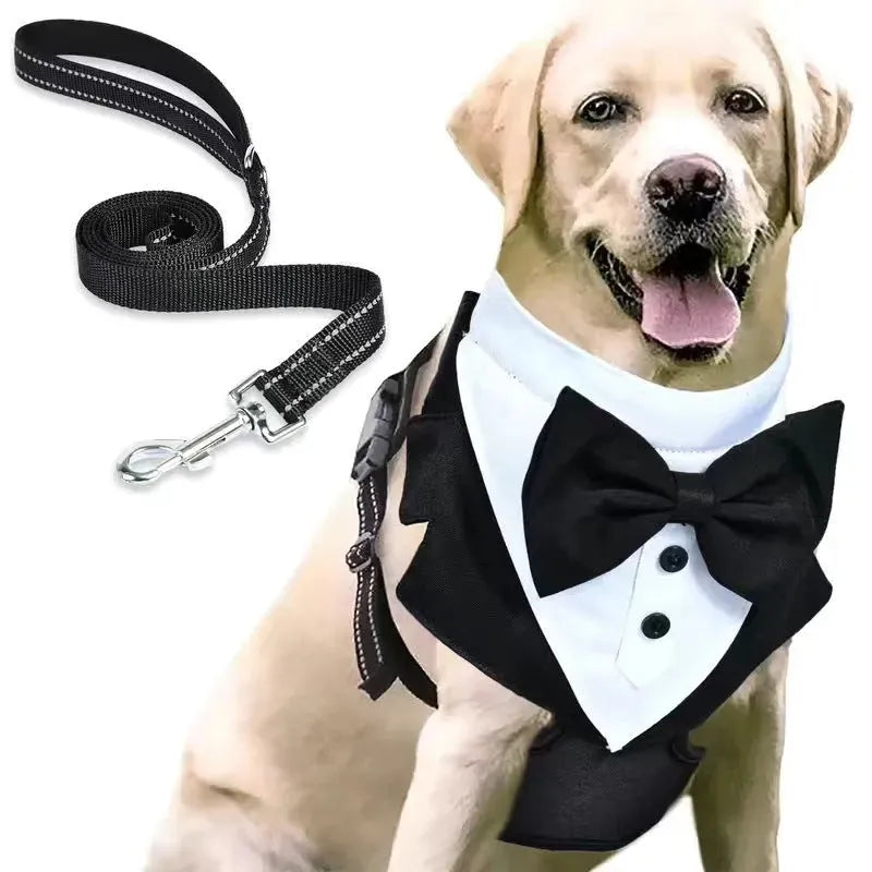 Pet Hand Holding Rope Anti Breaking Loose Suit Integrated Chest Strap - Bellarte Enchanté Pet Hand Holding Rope Anti Breaking Loose Suit Integrated Chest Strap