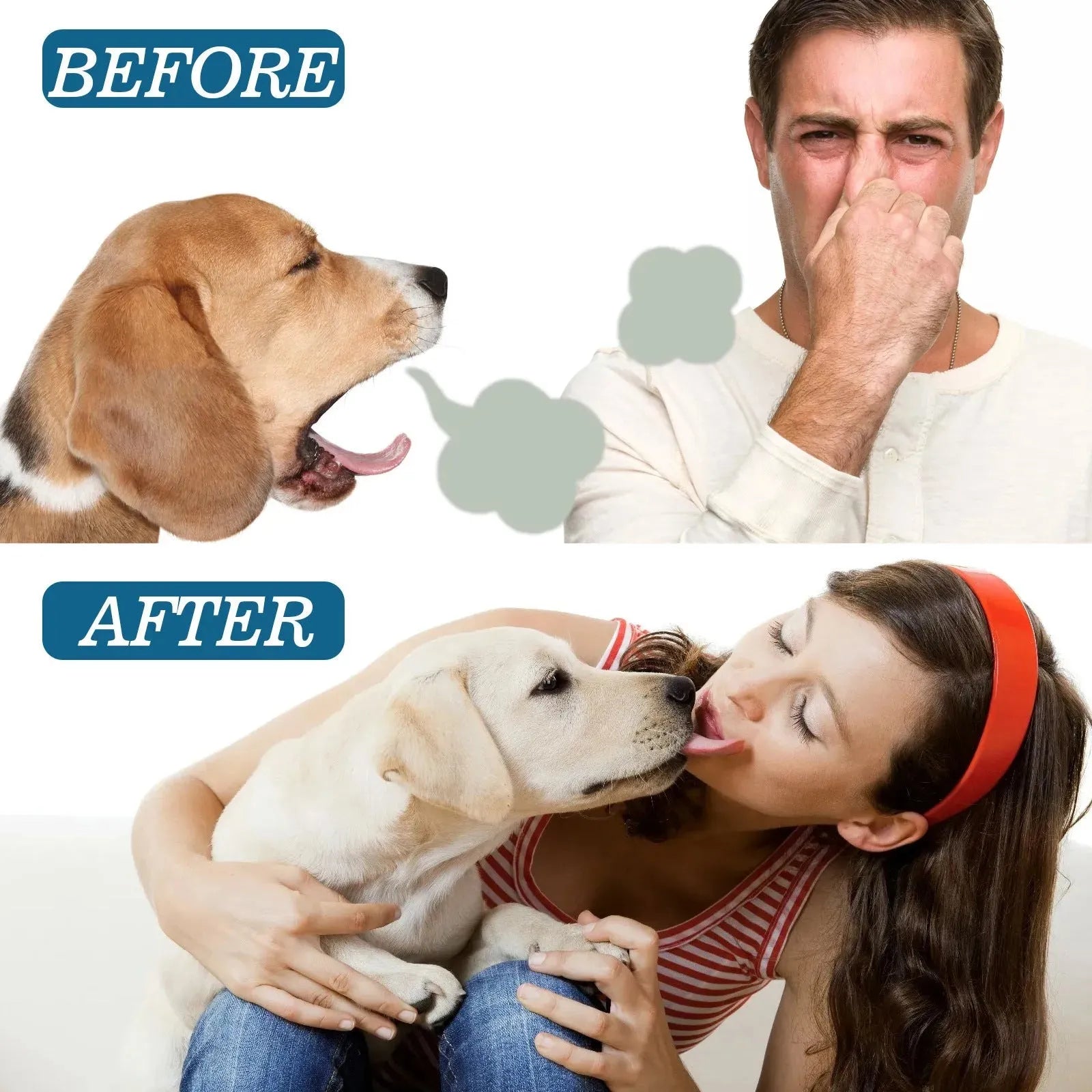 Pet Oral Cleaning Spray Remove Tartar And Bad Breath - Bellarte Enchanté Pet Oral Cleaning Spray Remove Tartar And Bad Breath