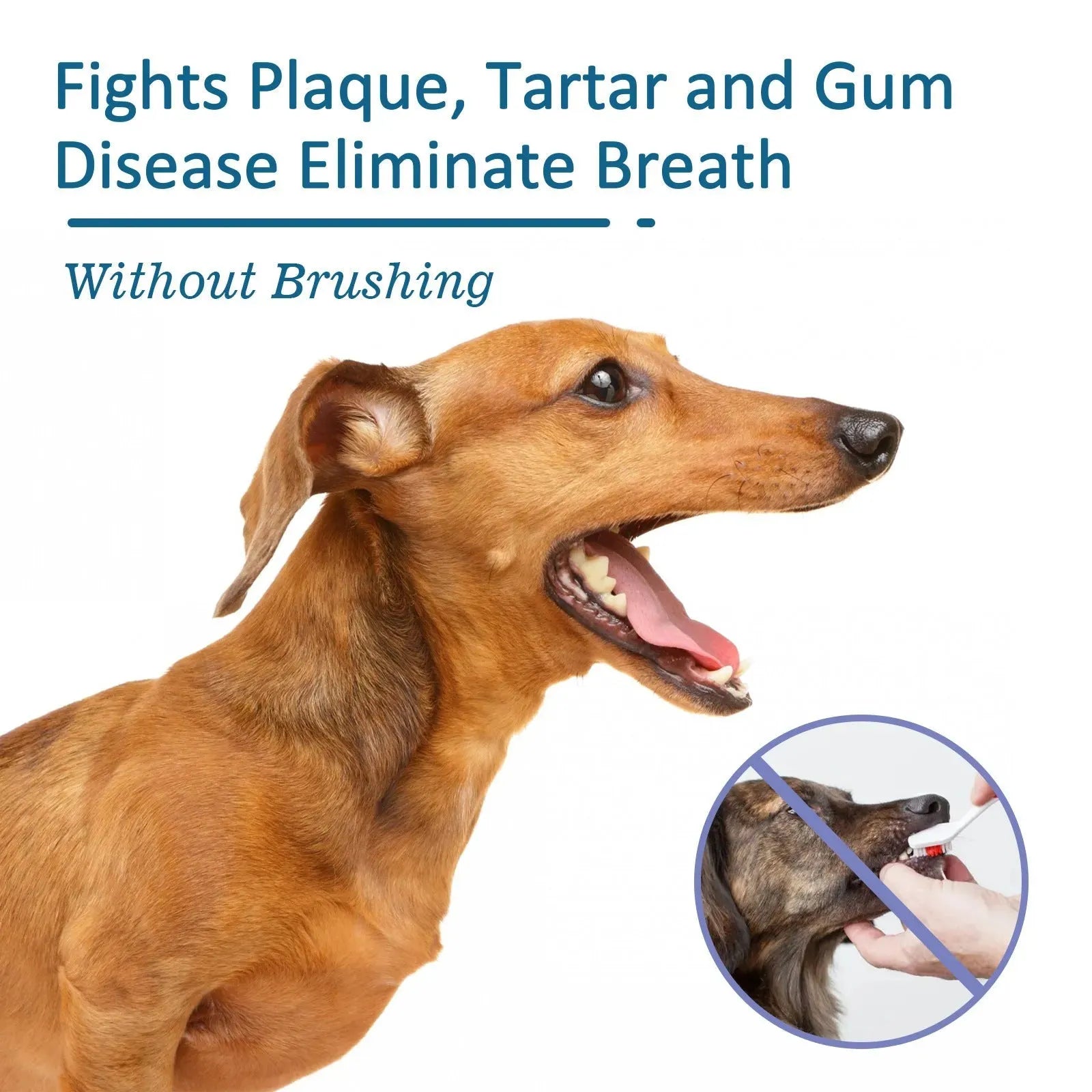 Pet Oral Cleaning Spray Remove Tartar And Bad Breath - Bellarte Enchanté Pet Oral Cleaning Spray Remove Tartar And Bad Breath