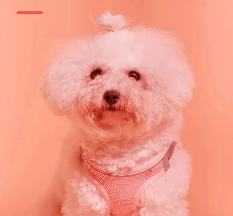 Pet Outdoor Dog Walking Reflective Vest Leash - Bellarte Enchanté Pet Outdoor Dog Walking Reflective Vest Leash