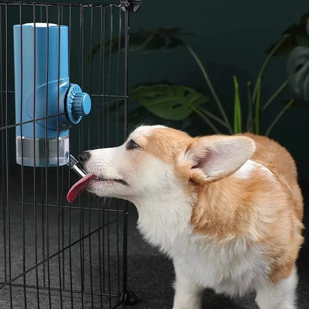 Pet Water Drinker Ball Feeder Hanging Water Drinker Cage Pet Water Cup - Bellarte Enchanté Pet Water Drinker Ball Feeder Hanging Water Drinker Cage Pet Water Cup