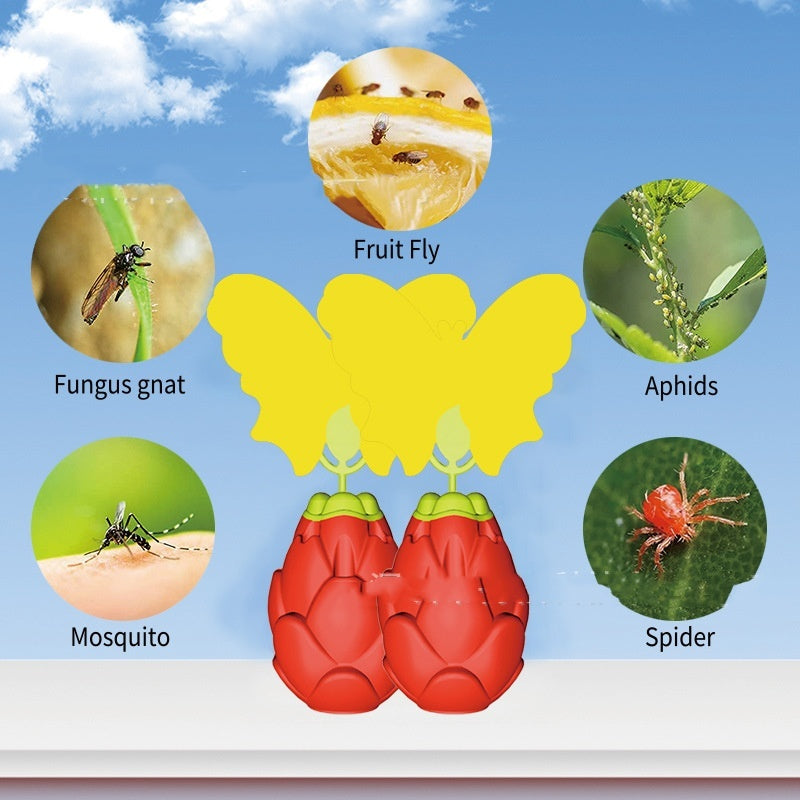 Pitaya With Butterfly Sticker Fruit And Vegetable Fruit Fly Trapper - Bellarte Enchanté Pitaya With Butterfly Sticker Fruit And Vegetable Fruit Fly Trapper