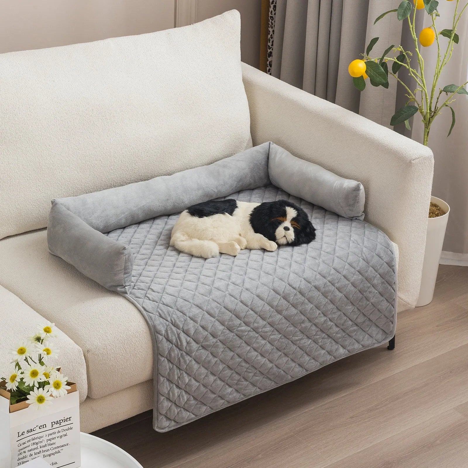 Plush With Pillow Pet Sofa Cushion Bed Pad - Bellarte Enchanté Plush With Pillow Pet Sofa Cushion Bed Pad