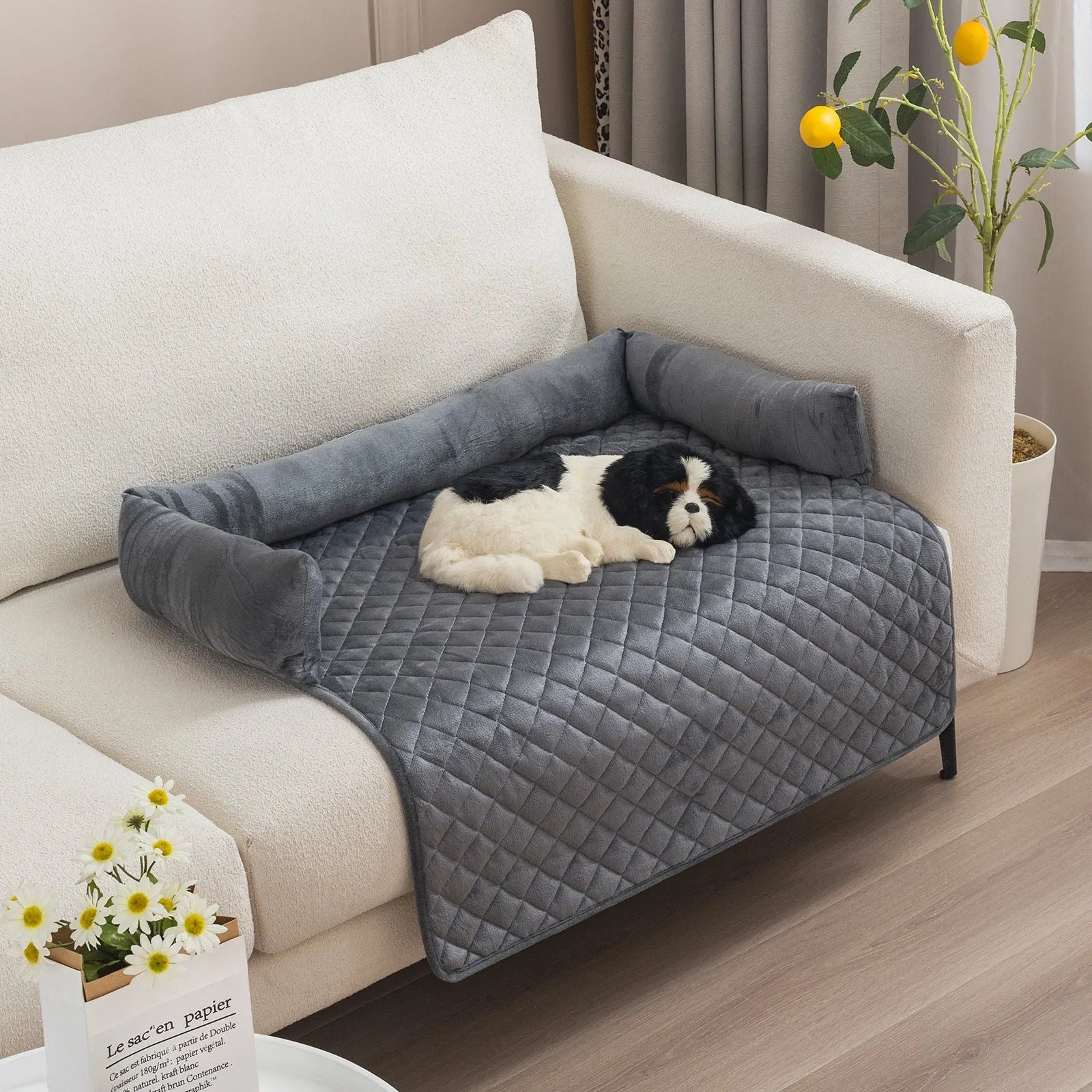 Plush With Pillow Pet Sofa Cushion Bed Pad - Bellarte Enchanté Plush With Pillow Pet Sofa Cushion Bed Pad