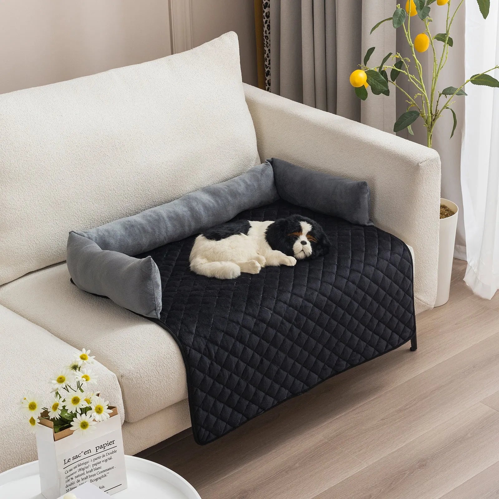 Plush With Pillow Pet Sofa Cushion Bed Pad - Bellarte Enchanté Plush With Pillow Pet Sofa Cushion Bed Pad