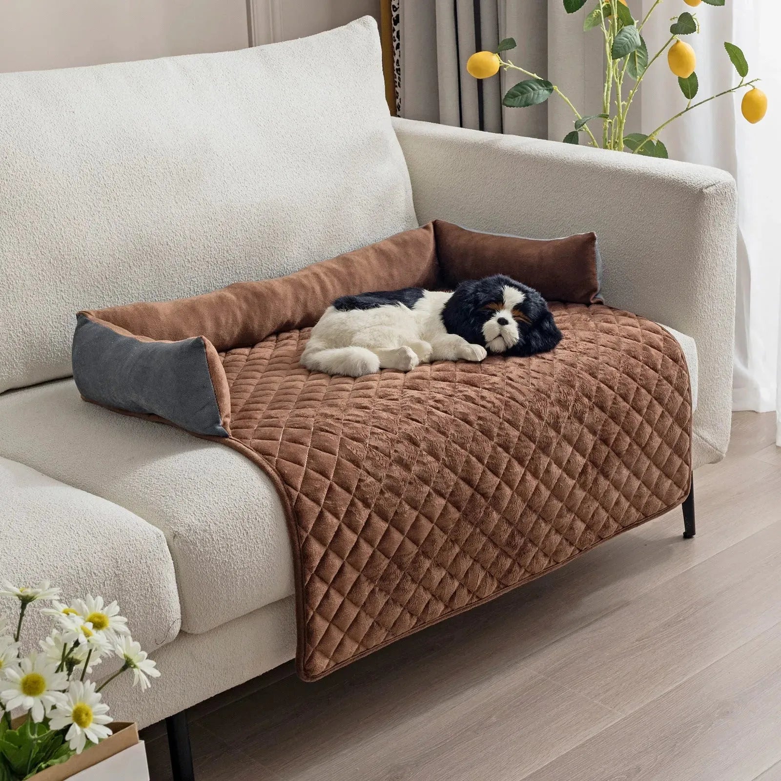 Plush With Pillow Pet Sofa Cushion Bed Pad - Bellarte Enchanté Plush With Pillow Pet Sofa Cushion Bed Pad